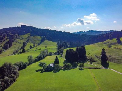 Alleinlage! Ehemalige Hofstelle im Grünen mit viel Platz und Potential
