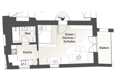 Wohnung (saniert 2021) mit toller Einbauküche und Balkon: charmante 1-Zimmer-Wohnung in Tittmoning