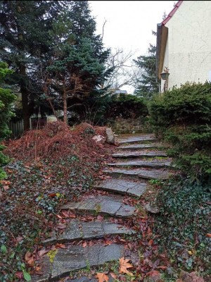 Top-Lage in Blankenfelde-Mahlow – Traumhaftes Zuhause im Grünen