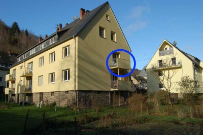 Provisionsfrei ! Selbstbezug/Kapitalanlage - renov. 2,5-Zimmer-Wohnung mit Balkon in Traben-Trarbach