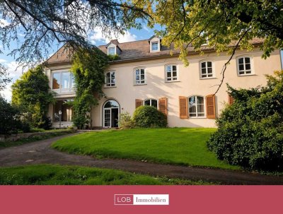 Besonderes Villenanwesen mit Baugrundstück für Gewerbe / viel Potenzial