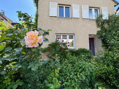 Comeback - mit dem Charme der Vergangenheit und der Vision eines Neuanfangs