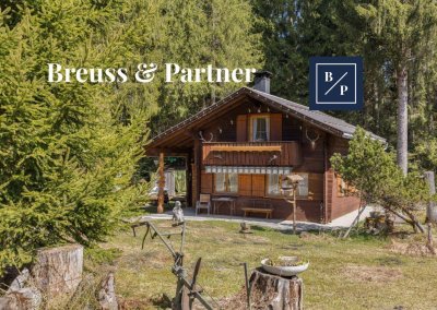 Charmantes Ferienhaus im Bregenzerwald. Ruhe-Oase im Grünen mit Skigebiet in der Nähe