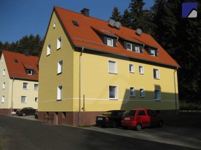 Lüdenscheid-Eggenscheid: Möblierte 2-Zimmer Wohnung im Erdgeschoss