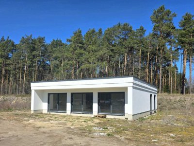 Dürfen wir vorstellen? Ihr neues Zuhause!  Bungalow in Cottbus-Gallinchen