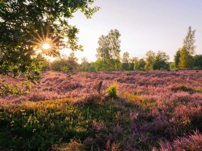 Privates Naturidyll südlich von Hamburg – Exklusive Villa auf uneinsehbarem Grundstück