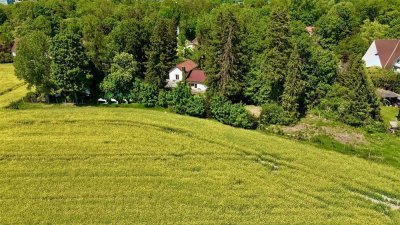 Chance! Traumgrundstück 1.750qm mit Altbestand und freiem Südblick in FFB!