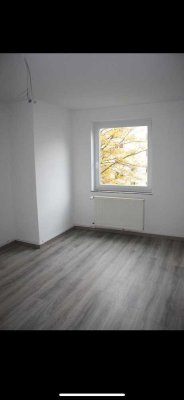 3 Zimmer Wohnung in Salzgitter-Lebenstedt