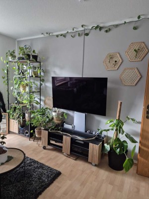 500.0 € - 55.0 m² - 2.0 Zi.