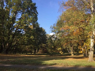 ERSTKLASSIGE 4-ZIMMER ALTBAUWOHNUNG IN BEGEHRTER LAGE BERLIN-GRUNEWALD !