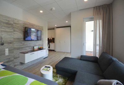 Schönes Single-Apartment, voll ausgestattet zum Pauschalpreis, Marktheidenfeld