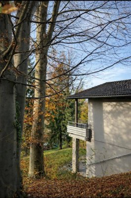 Bestlage Mariagrün. Ruhelage am Leechwald.