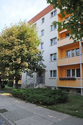 Modernes Wohnen für Singles und Paare / Wernigerode - Stadtfeld