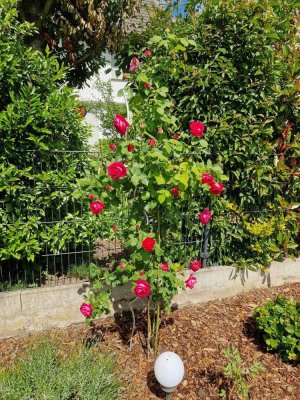 EINFAMILIENHAUS MIT SONNIGEM UND GROßEM GARTEN