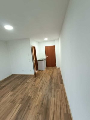 Vollständig renovierte 1-Zimmer-Wohnung mit EBK in Ludwigshafen