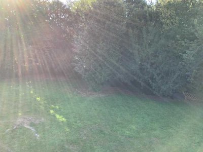 Charmante 3-Zimmer-Etagenwohnung in Recklinghausen – 77,86 m² mit Badfenster und Laminatboden