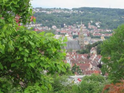 ***Aussichtsreiches, idyllisches Wohnen***Tolle Stadtsicht***