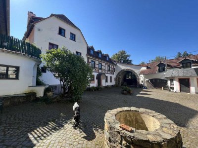 Lichtdurchflutetes Loft in ruhiger Lage