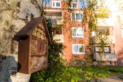 2 Balkone! Renovierte 3-Zimmer-Wohnung in Bremerhaven-Lehe!