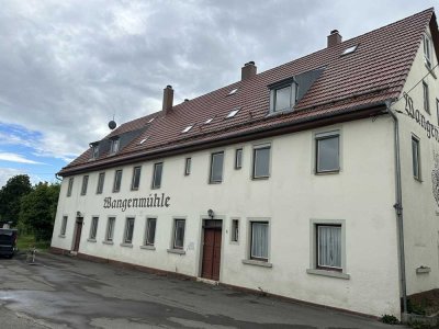 Wohnhaus mit Wasserkraftwerk für zahlreiche Nutzungsmöglichkeiten direkt an der Brenz