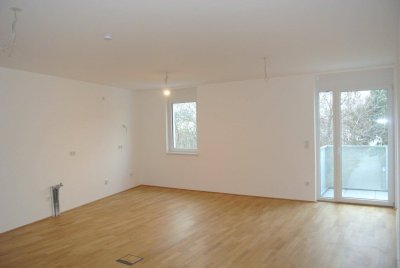 Baumer 21- Coole Studentenwohnung, Blick ins Grüne, Ruhelage und Top Öffi- Anbindung