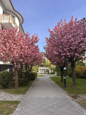 Wohnen in der Sackgasse: Ruhige 4-Zimmer Wohnung nahe Luitpold- und Olympiapark