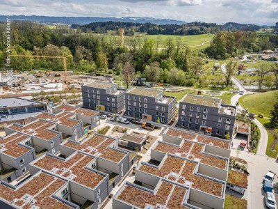 Mittelhaus in Wangen im Allgäu »RH in Wangen im Allgäu  Wohnen am Argenbogen«