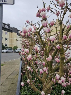*** DG-Wohnung mit Flair - Balkon inklusive ***