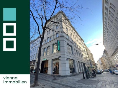 Stilaltbauwohnung mit Blick auf die Mariahilferstraße