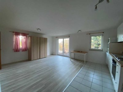 1-Zimmer Wohnung teil Möbiliert mit Balkon / Terasse in Feldberg (Schwarzwald)