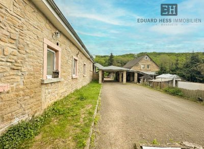 Historisches Hofgut-Ensemble (3 Häuser) mit 16.200 m² Grundstück - in Rockenhausen