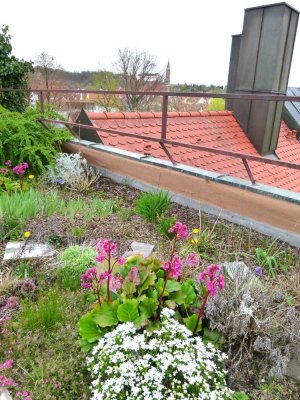 Große sanierte 2-Zimmer-Wohnung mit Fernblick in Zentrumsnähe