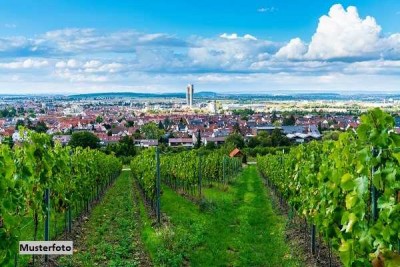 Landwirtschaftliches Gehöft (Weingut)