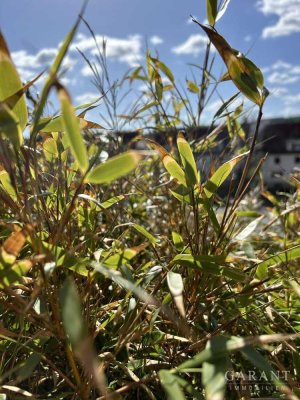 Charmante 2 Zimmer-Eigentumswohnung mit großem Balkon in zentraler Lage von Kulmbach