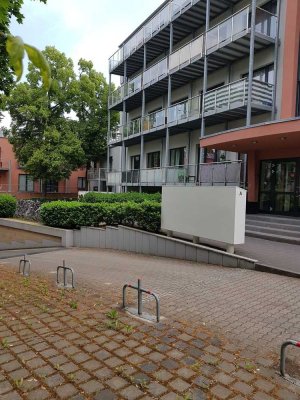 ab sofort - attraktives 1 Zimmerapartment am Botanischen Garten für Single - Haushalte / Studenten