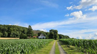 Landhaus-Traum 35 Min. von Bielefeld. 4,5 Zi Maisonette kernsaniert, Pferdehaltung mögl.