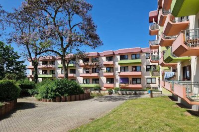 1 Zimmer- Appartement/ Studenten/ Nähe Uni