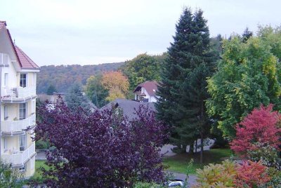 Helle 3 Zimmerwohnung mit Blick in die Natur