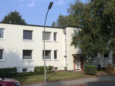 Attraktive 3-Zimmer Wohnung im Herzen von Horn!