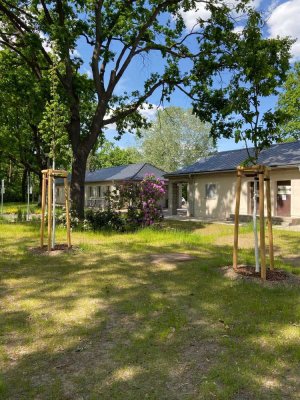 Wohnen am Rand des Waldes – 3 Zimmer über den Bäumen der Königsheide