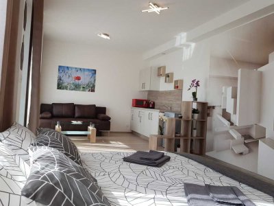 Schöne und sanierte 2-Raum-Wohnung mit Einbauküche in Lahr/Schwarzwald