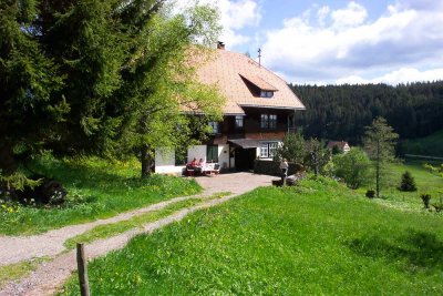 Schöne zwei Zimmer Wohnung in Schluchsee Fischbach