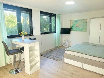 Möbliertes Apartment in Ludwigshafen-Friesenheim – modern ausgestattet und sofort beziehbar!