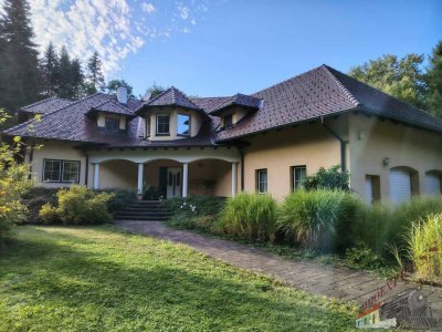 Tolle Villa mit neuer PV-Anlage bietet viel Platz und ruhige, grüne Umgebung – 38 min zur Stadtgrenze Wien!