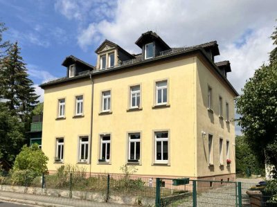 Erstbezug nach Kernsanierung - Großzügige 1-Zimmer Wohnung im Luftkurort  Dresden Rochwitz