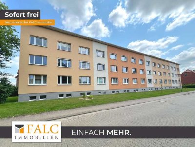 ***Top-sanierte 1-Zimmer-Wohnung in ruhiger Lage***