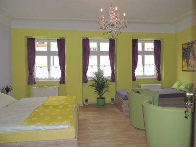 Voll möblierte 1-Zimmer Wohnung im 2. OG in Bamberg-Insel