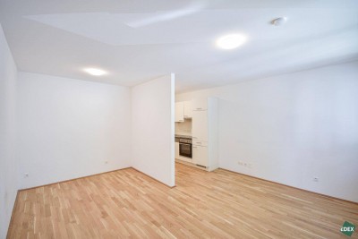 Wunderschöne 1-Zimmer-Etagenwohnung nahe der Donau im 3. Obergeschoss