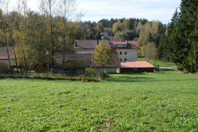 Landwirtschaftliches Anwesen auf ca. 7.700 m² Grund – mit Wiese, Mehrparteienhaus und vielem mehr!
