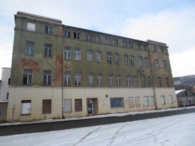Fabrikgebäude wartet auf Sanierung - ideal als Bürogebäude / Pflegeheim / WGH - in Berga/Elster